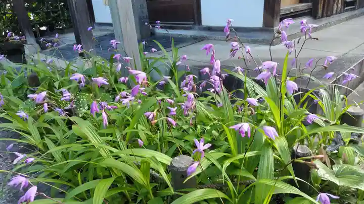 祐正寺(京都府)