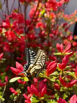 崇道天皇社(奈良県)