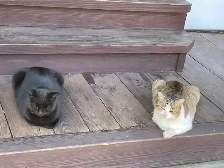 妙宣寺(広島県)