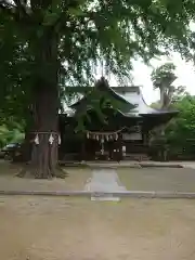 賀羅加波神社の本殿