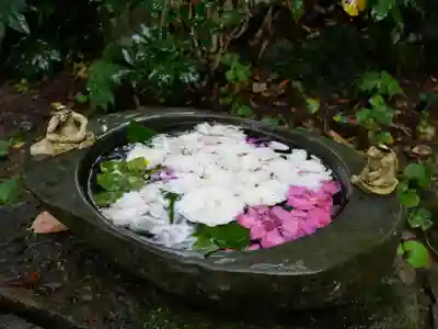 かっぱの寺 栖足寺の手水舎