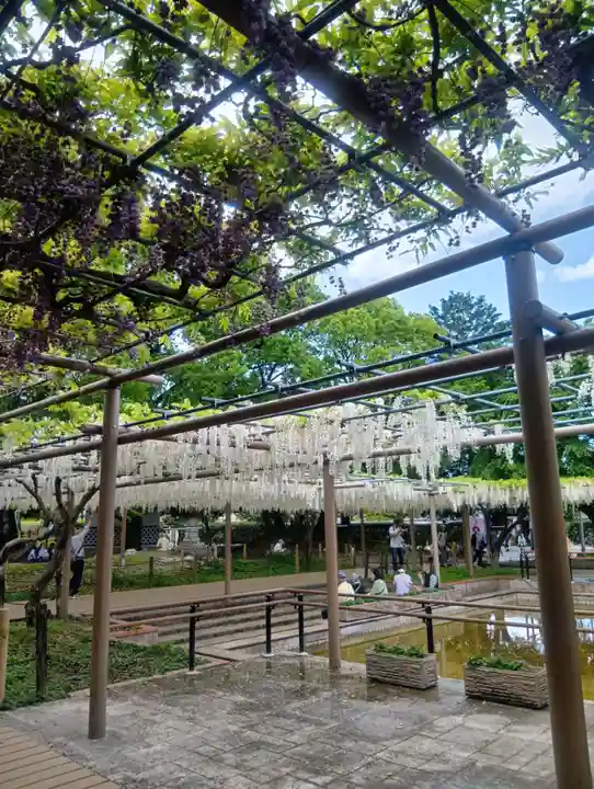 曼陀羅寺(愛知県)