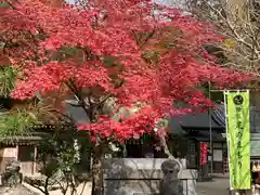 足助八幡宮の自然