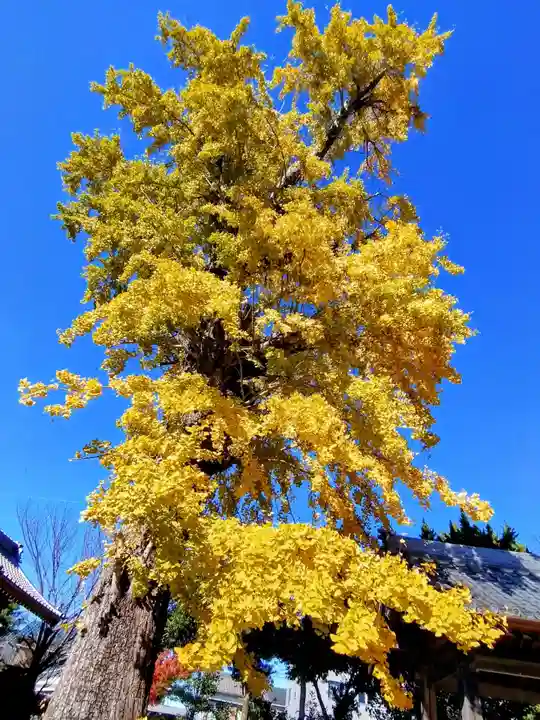 浄光寺(愛知県)