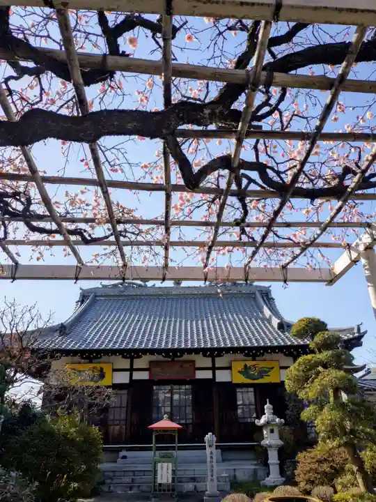 長善寺(東京都)