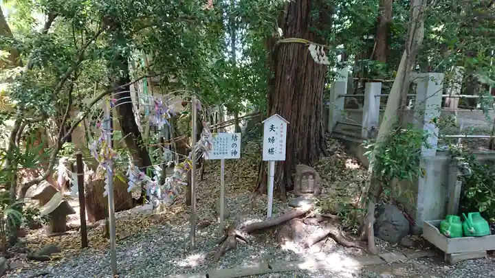 座間神社の自然