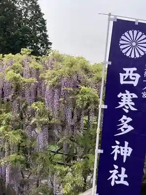 西寒多神社(大分県)