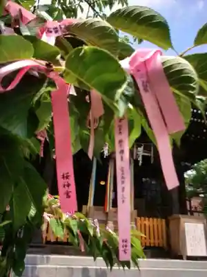 桜神宮(東京都)