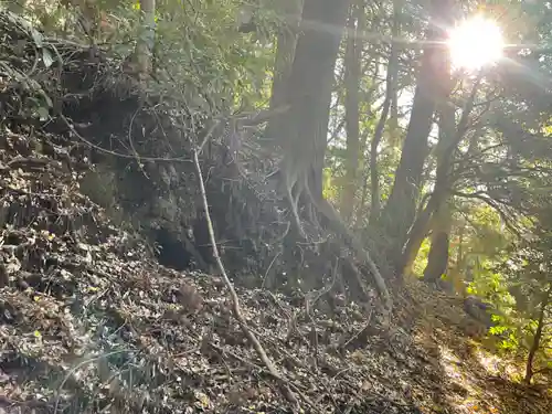 十二天神社の自然
