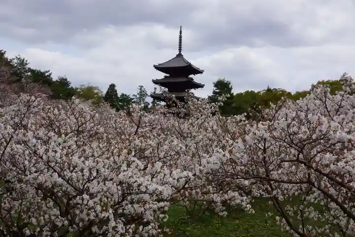 仁和寺(京都府)