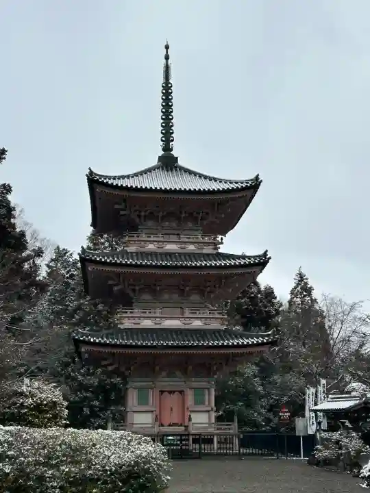 真禅院の{uncategorized: "未分類", other: "その他", undefined: "問題あり", building: "その他建物", grave: "お墓", sacred_gate: "鳥居", guardian: "狛犬", statue: "像", buddha: "仏像", history: "歴史", nature: "自然", garden: "庭園", animal: "動物", pagoda: "塔", temizu: "手水舎", mountain_gate: "山門・神門", sanctuary: "本殿・本堂", subordinate: "末社・摂社", art: "芸術", scenery: "景色", jizo: "地蔵", ema: "絵馬", goshuin: "御朱印", omikuji: "おみくじ", items: "授与品その他", amulet: "お守り", goshuincho: "御朱印帳", eats: "食事", festival: "お祭り", votive_dance: "神楽", shichigosan: "七五三参", wedding: "結婚式", experience: "体験その他", initially: "初詣", around: "周辺", anti_infection: "感染症対策"}