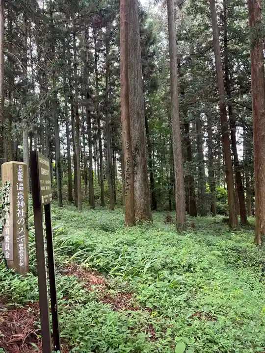 大宮温泉神社(栃木県)