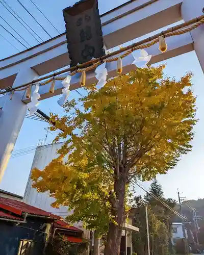 大宮八幡宮(兵庫県)