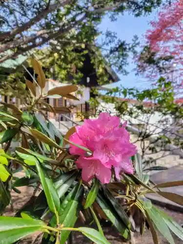 厚別神社(北海道)