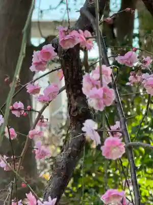 菊田神社(千葉県)