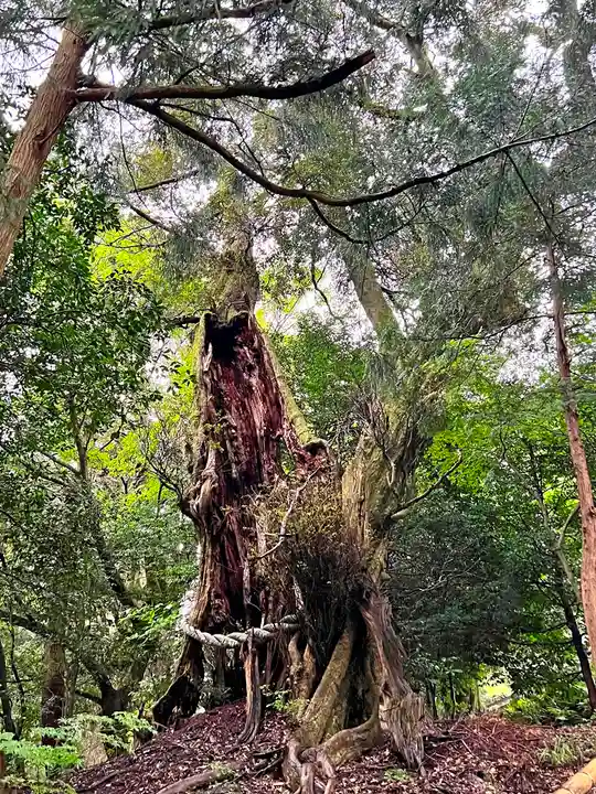闇見神社(福井県)