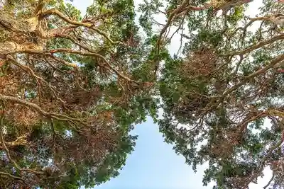大久寺(神奈川県)