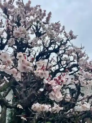 正法寺の{uncategorized: "未分類", other: "その他", undefined: "問題あり", building: "その他建物", grave: "お墓", sacred_gate: "鳥居", guardian: "狛犬", statue: "像", buddha: "仏像", history: "歴史", nature: "自然", garden: "庭園", animal: "動物", pagoda: "塔", temizu: "手水舎", mountain_gate: "山門・神門", sanctuary: "本殿・本堂", subordinate: "末社・摂社", art: "芸術", scenery: "景色", jizo: "地蔵", ema: "絵馬", goshuin: "御朱印", omikuji: "おみくじ", items: "授与品その他", amulet: "お守り", goshuincho: "御朱印帳", eats: "食事", festival: "お祭り", votive_dance: "神楽", shichigosan: "七五三参", wedding: "結婚式", experience: "体験その他", initially: "初詣", around: "周辺", anti_infection: "感染症対策"}