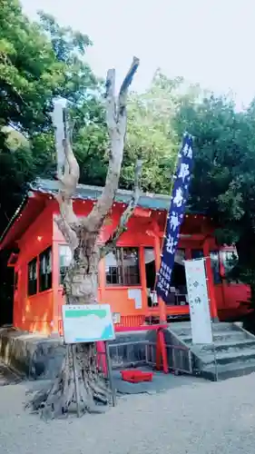 野島神社の本殿・本堂