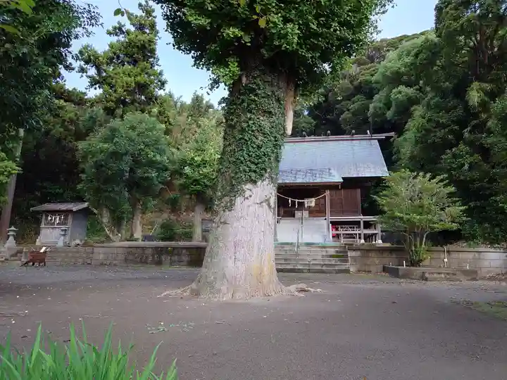 洲宮神社(千葉県)