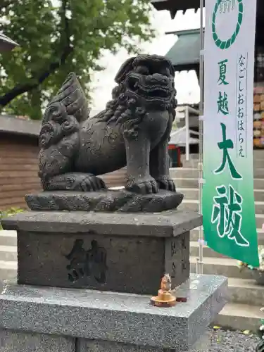 札幌諏訪神社の狛犬
