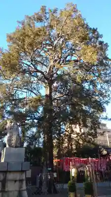 下神明天祖神社(東京都)