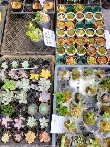 阿佐ヶ谷神明宮(東京都)