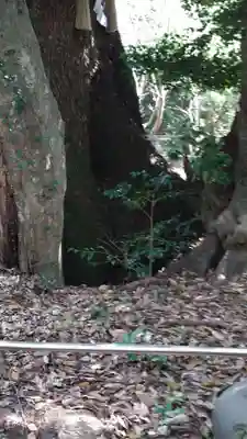 松阪神社(三重県)