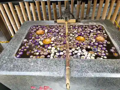高円寺氷川神社(東京都)
