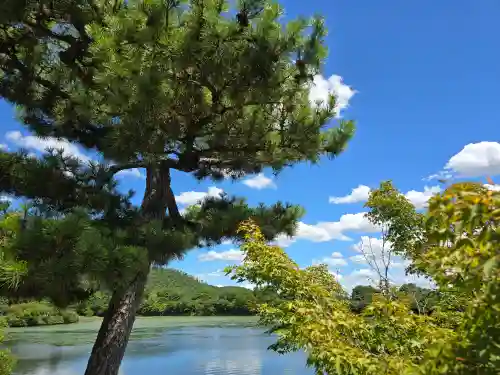 大覚寺(京都府)