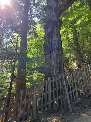玉置神社(奈良県)