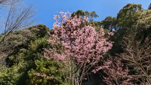 熊野若王子神社の自然