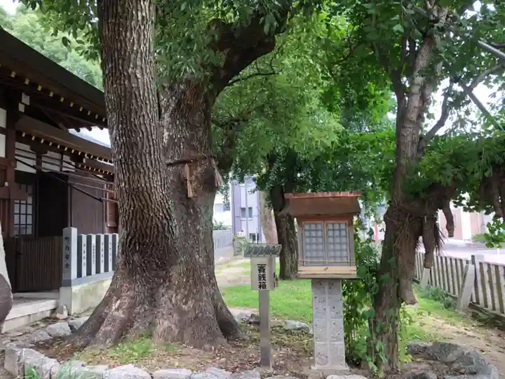 多奈波太神社の自然