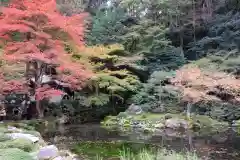 南禅寺(京都府)