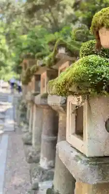 春日大社(奈良県)