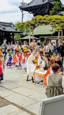 題経寺（柴又帝釈天）のお祭り