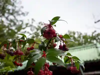 赤坂氷川神社(東京都)
