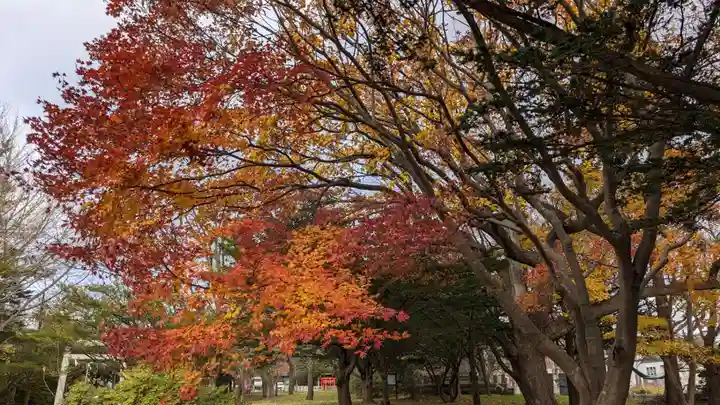 中嶋神社の自然