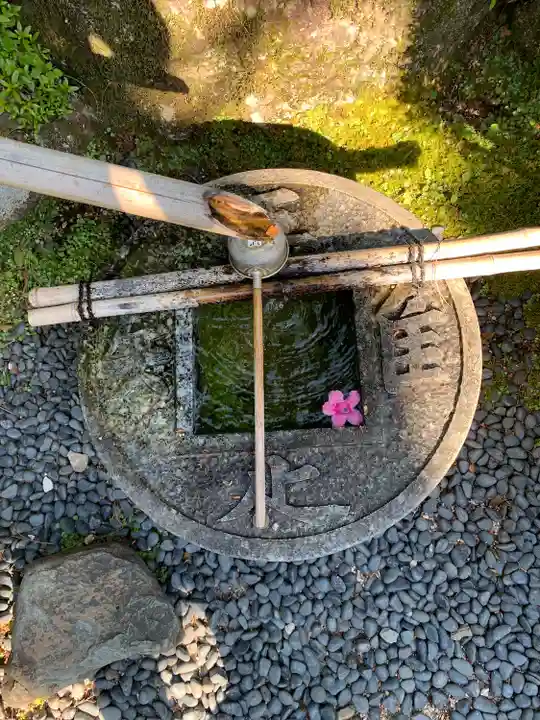 瑠璃光寺(山口県)