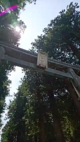 北口本宮冨士浅間神社の鳥居