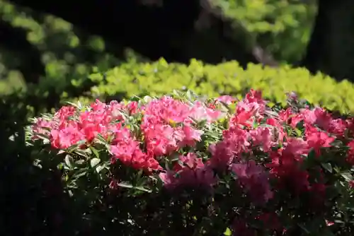 開成山大神宮の庭園