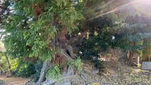 総願寺(埼玉県)