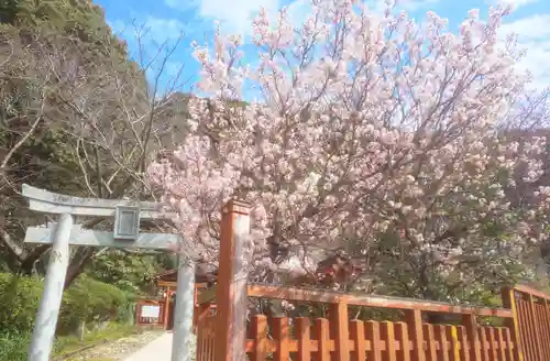 香椎宮の鳥居