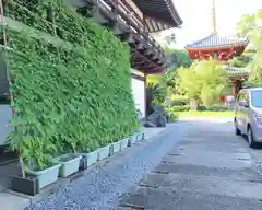 温泉山 安楽寺(四国霊場第六番札所)の建物その他