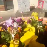 秋葉神社(愛知県)