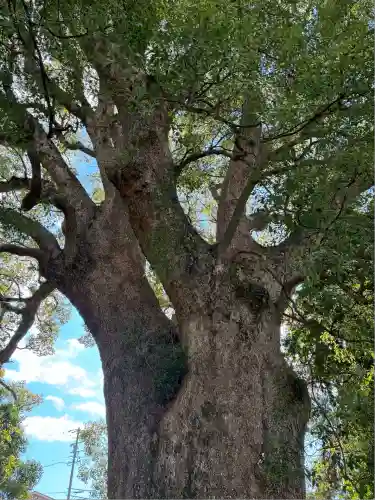 伊勢神明社(静岡県)