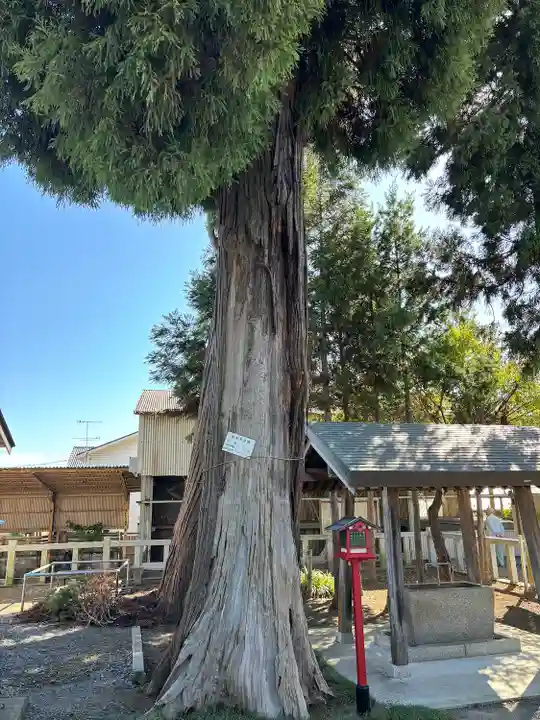 飯綱神社(茨城県)