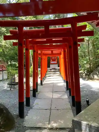來宮神社(静岡県)