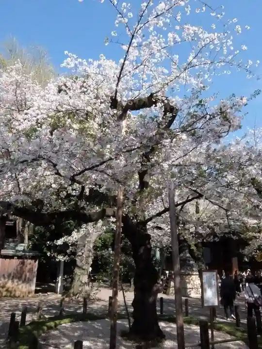 靖國神社(東京都)