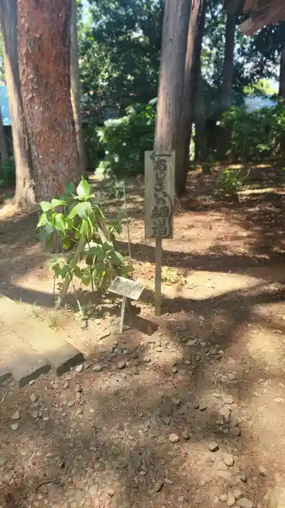 山神社(宮城県)